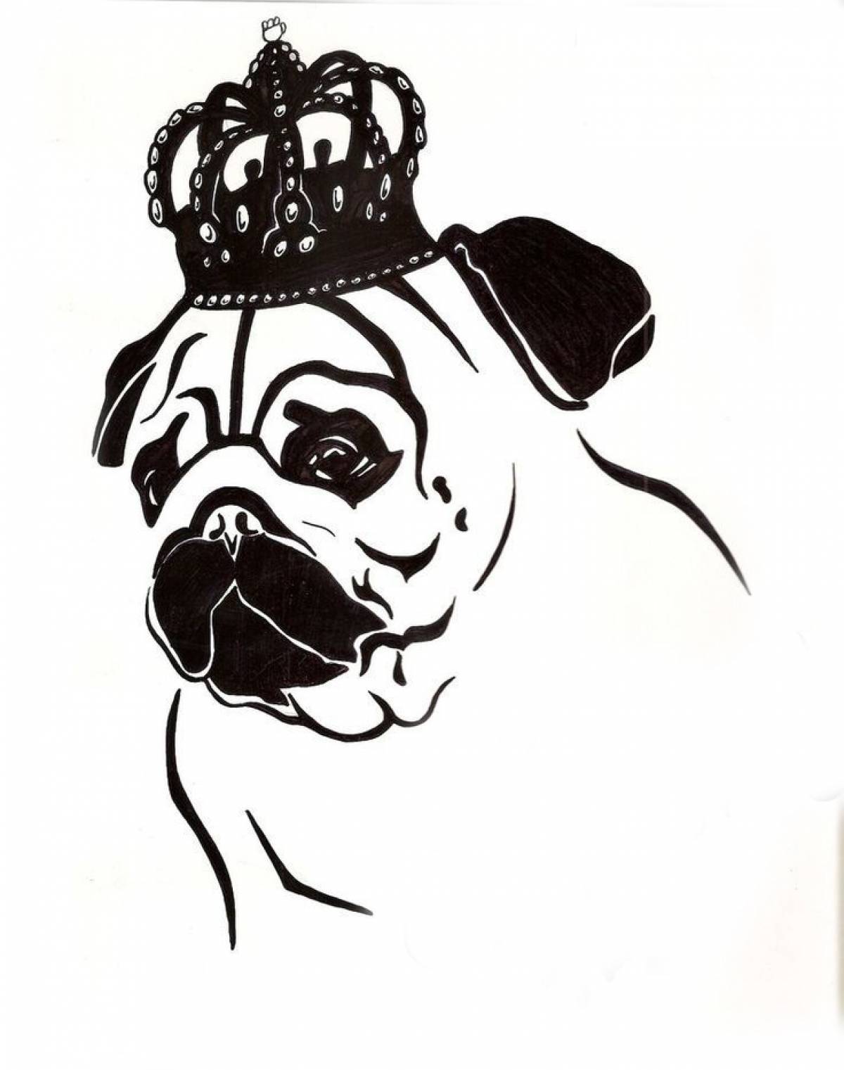 Pug in a crown