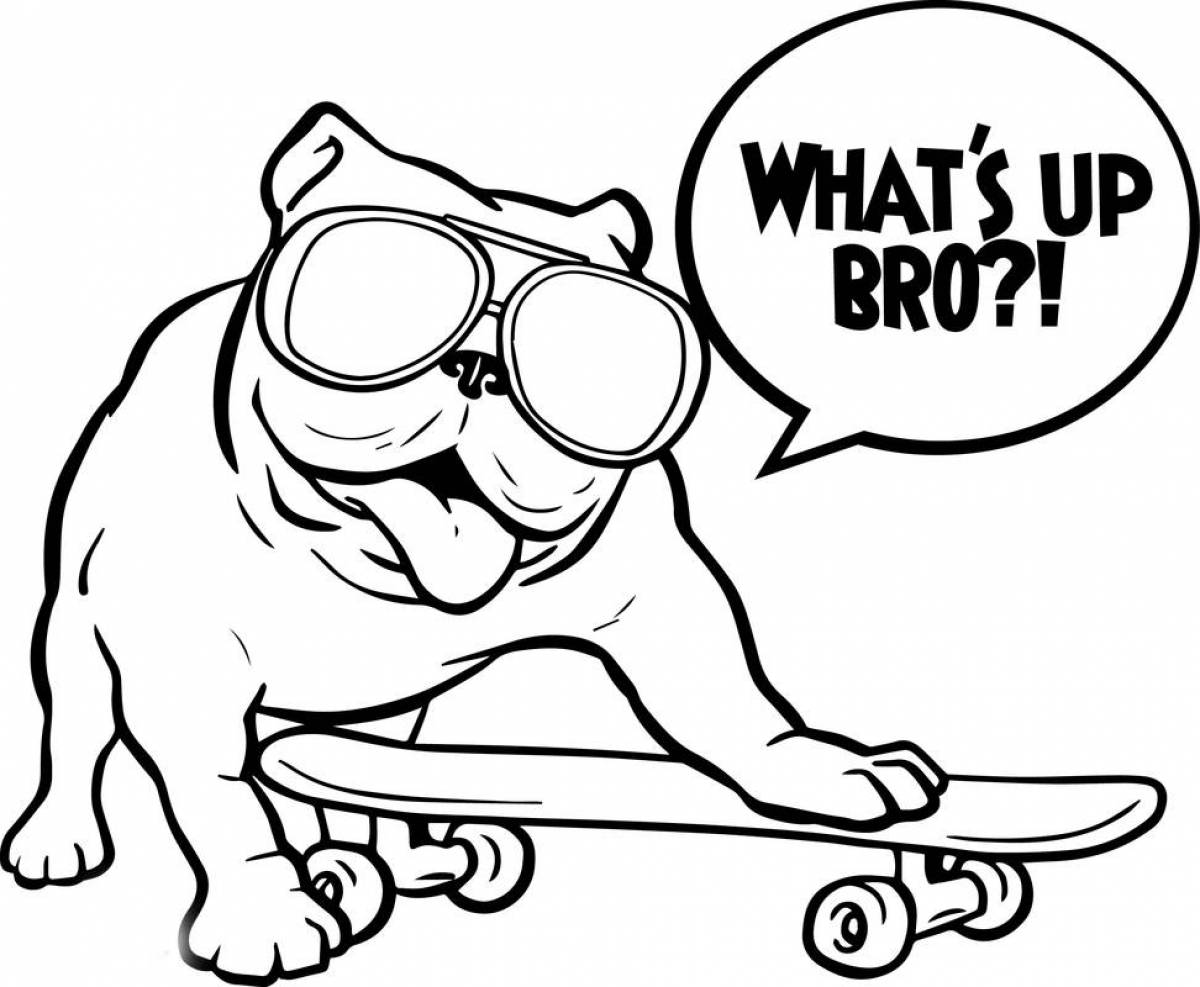 A pug on a skateboard