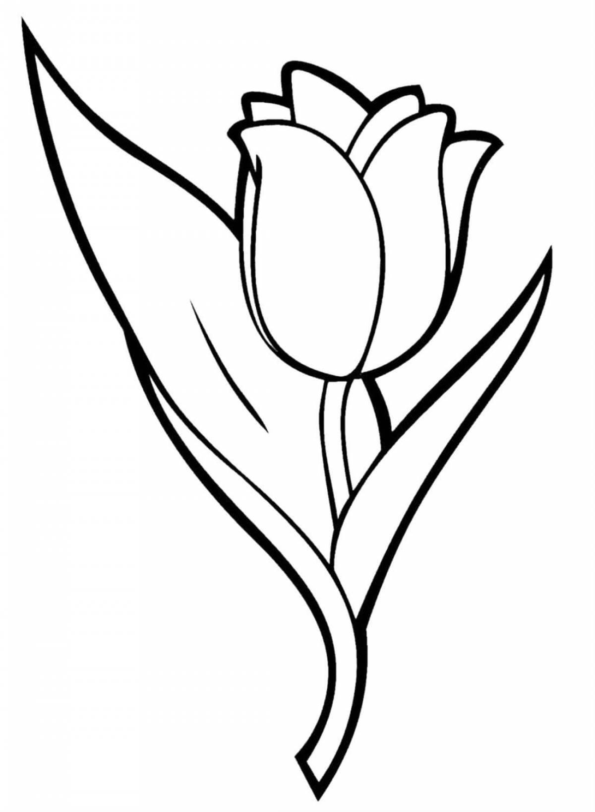 Large tulip
