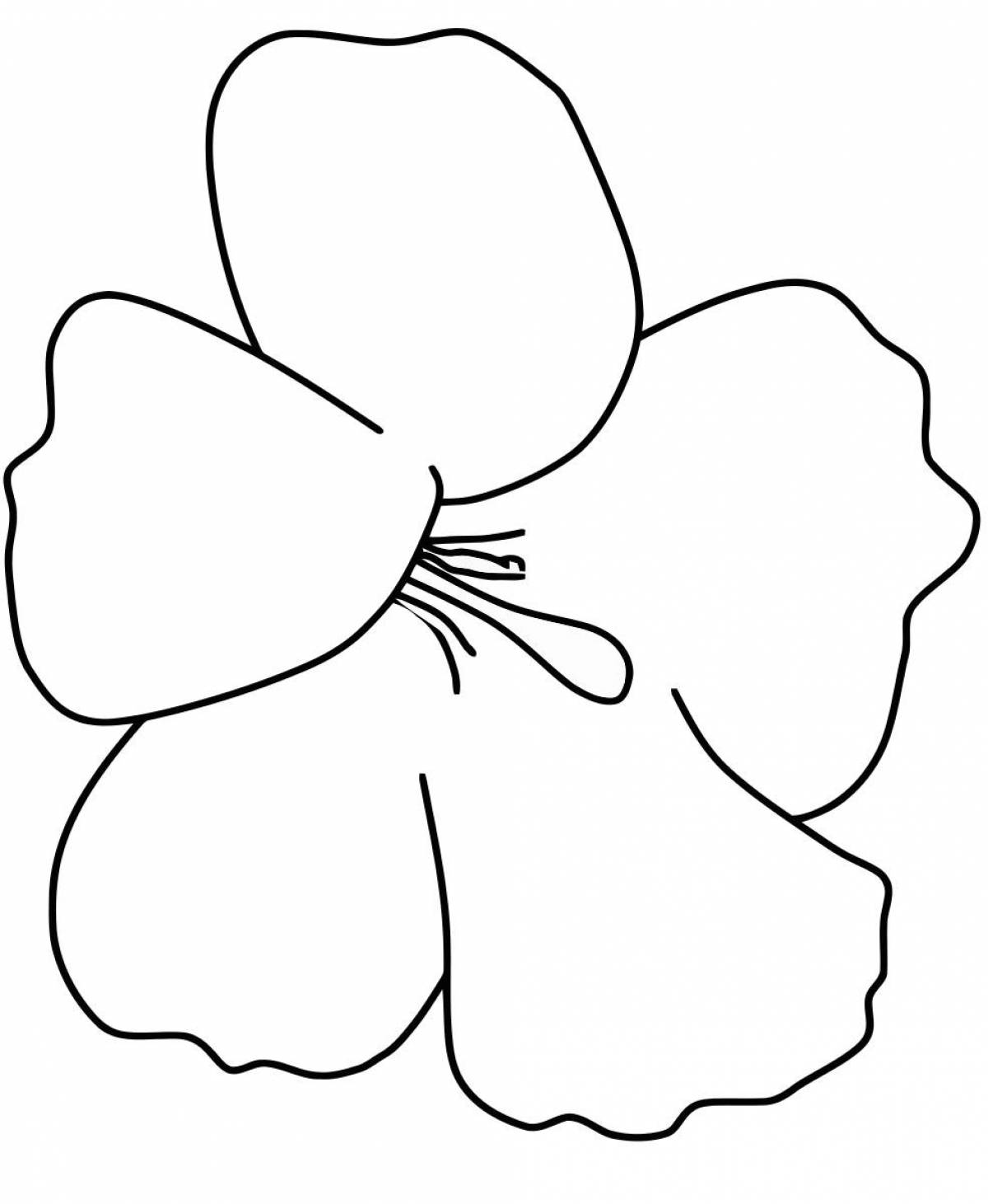 Large flowers coloring page