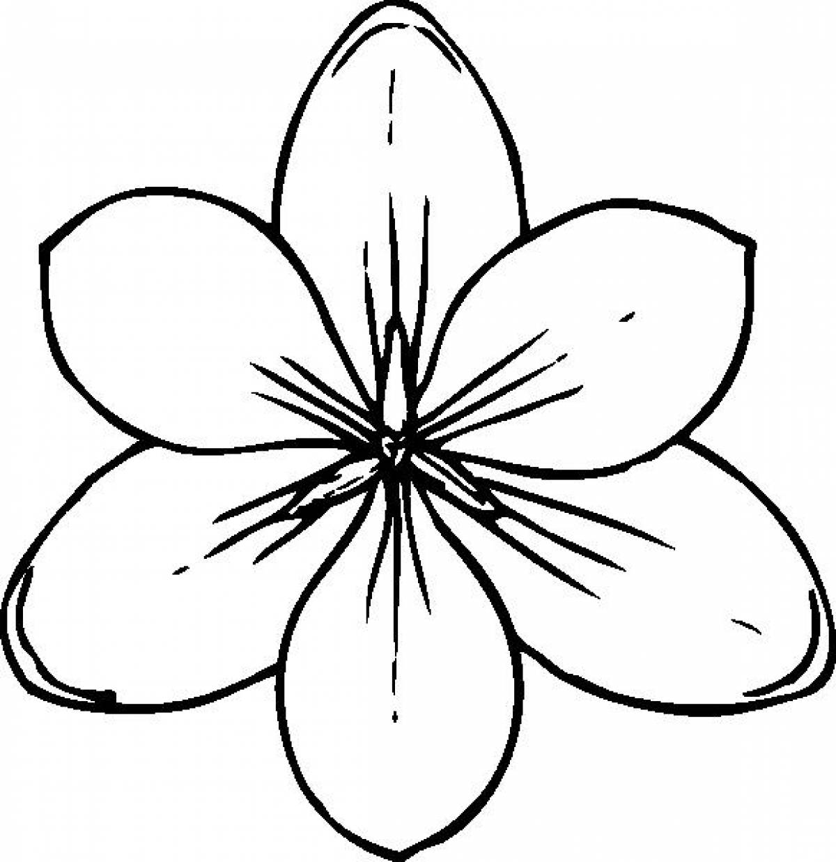 Large flowers coloring pages