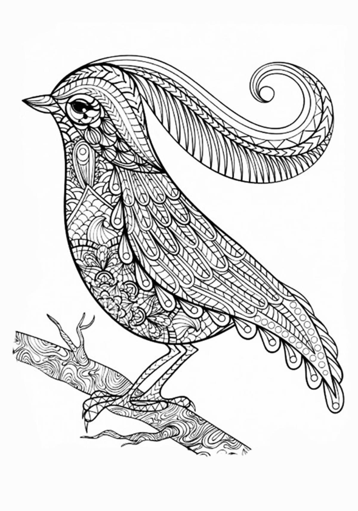 A bird with a crest