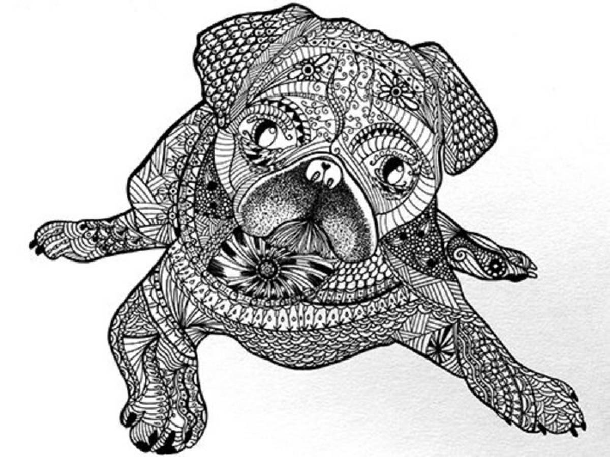 Antistress dog with a pattern
