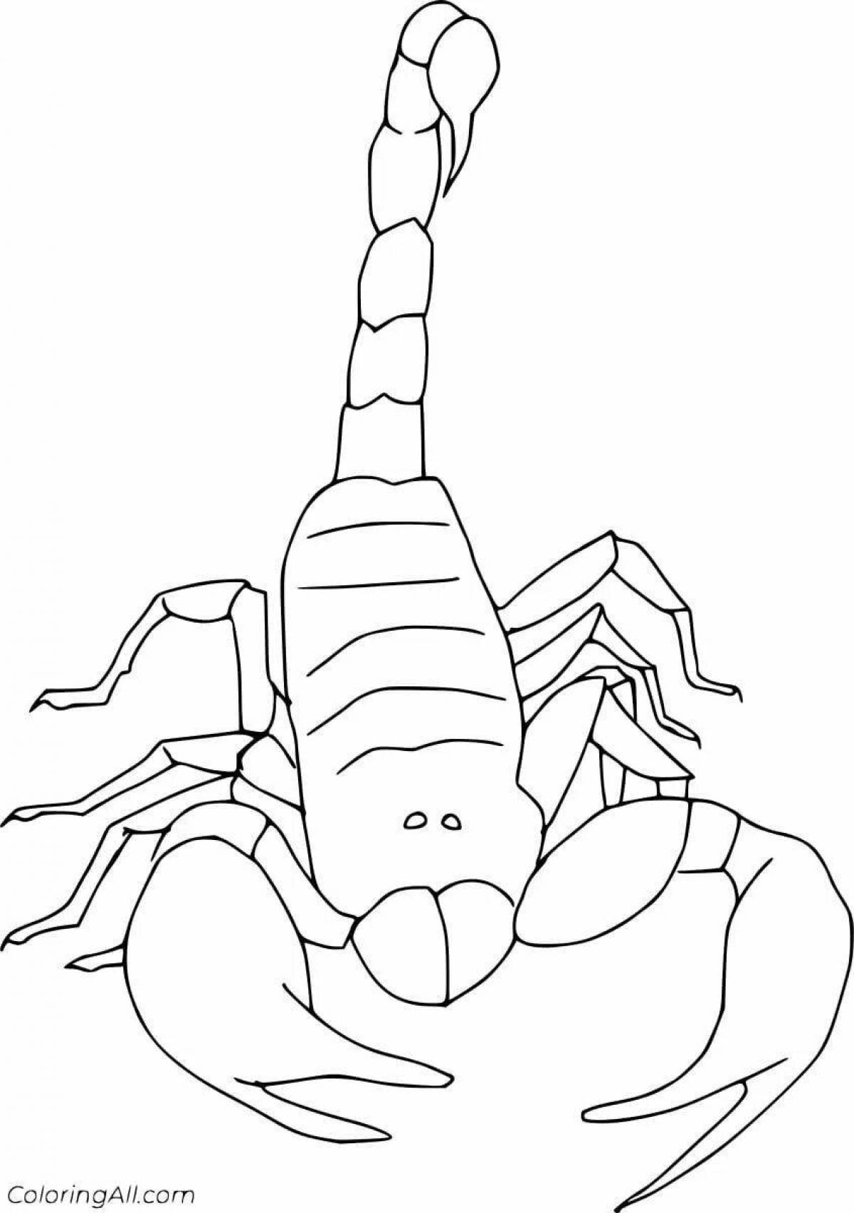 Рисунки скорпионов для раскрашивания