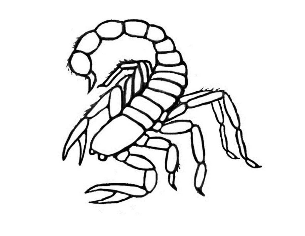 Красочная раскраска скорпион для детей