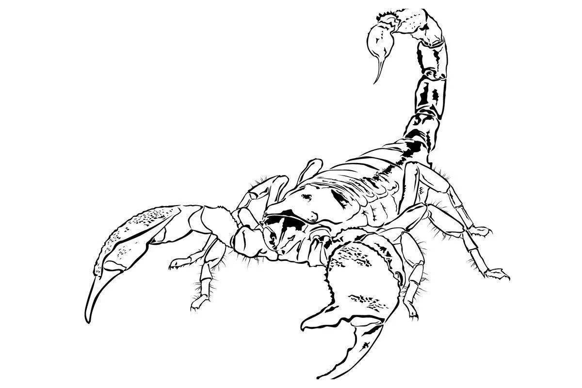 Удивительная раскраска скорпион для детей
