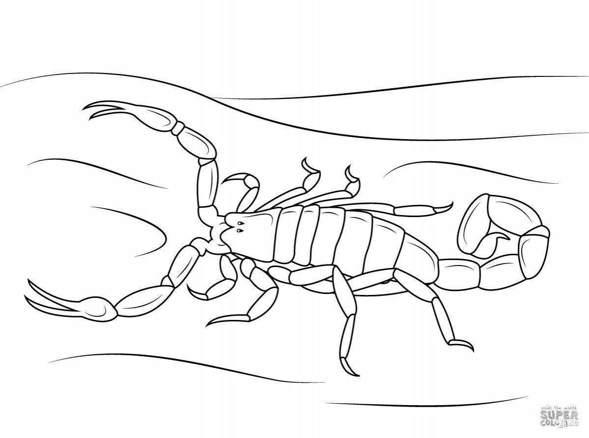 A wonderful scorpion coloring book for kids