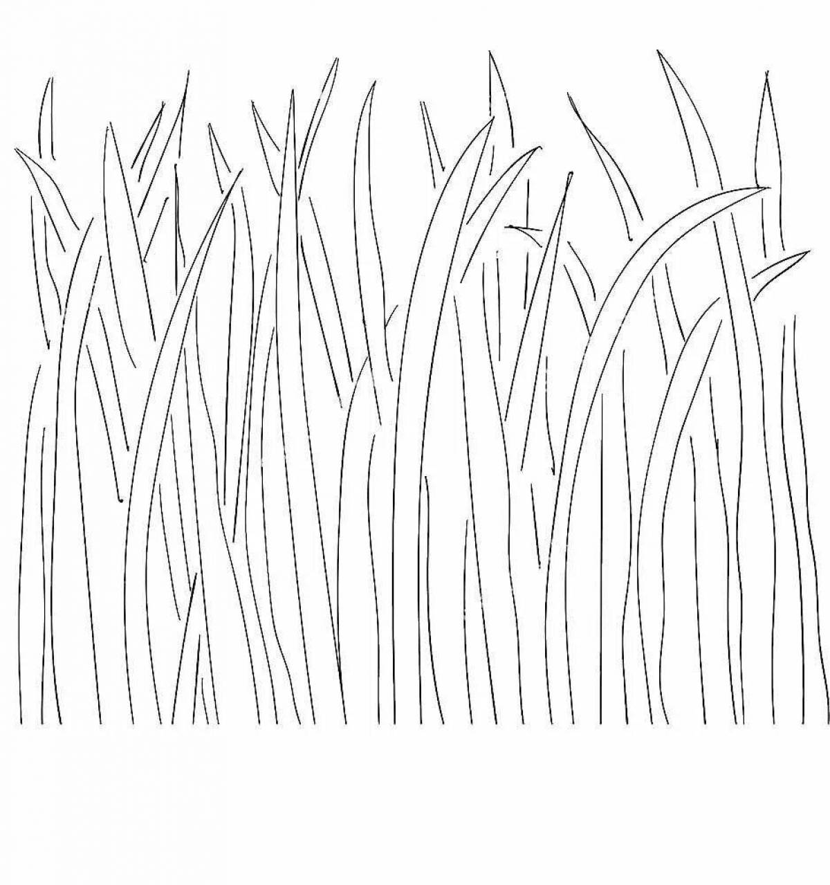 Раскраска красочная трава для детей