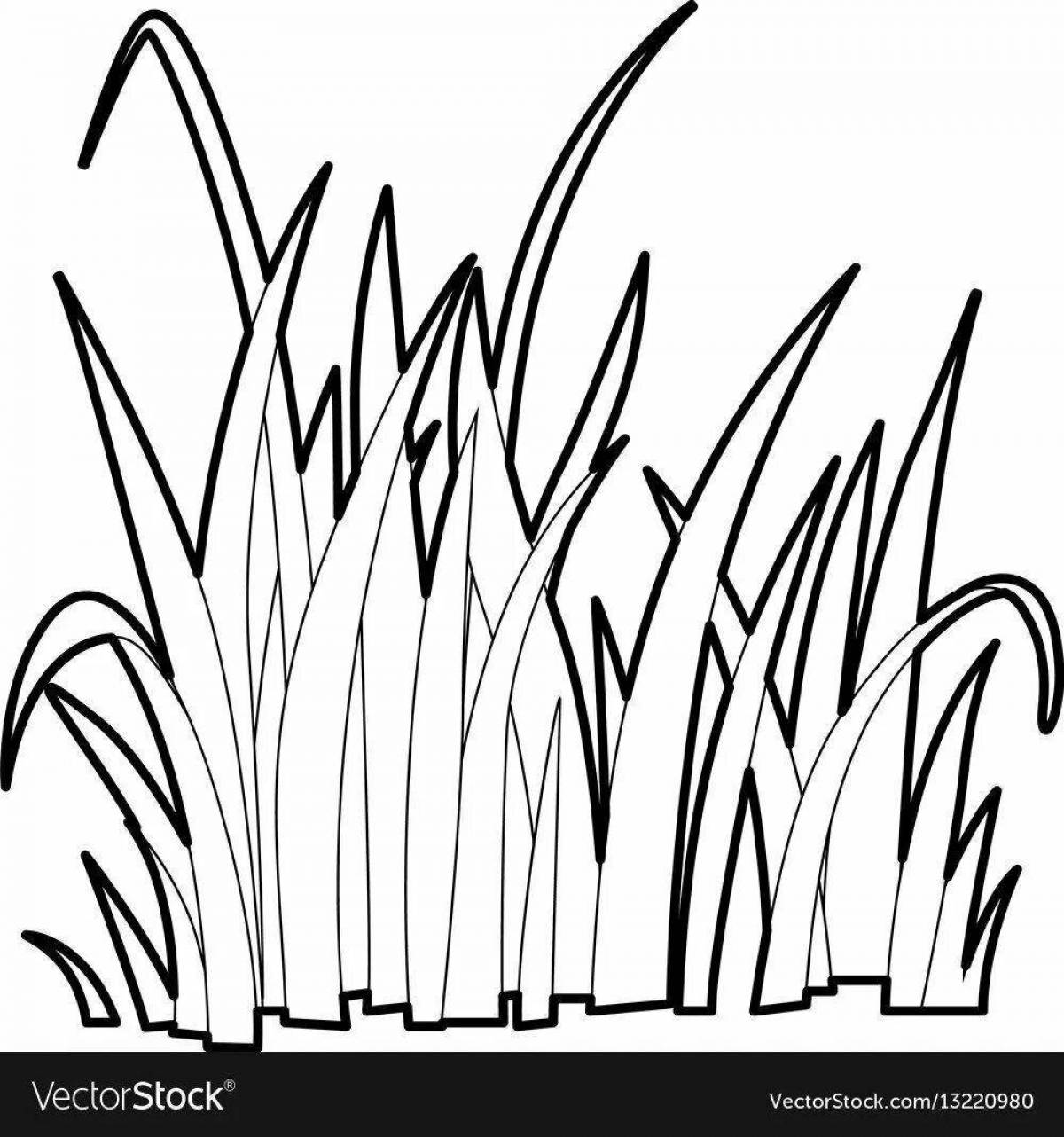 Игривая страница раскраски травы для детей