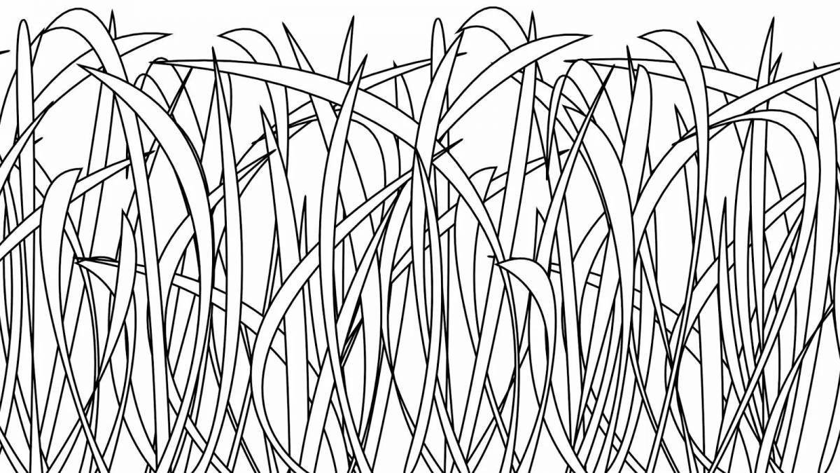 Glitter grass coloring book for kids