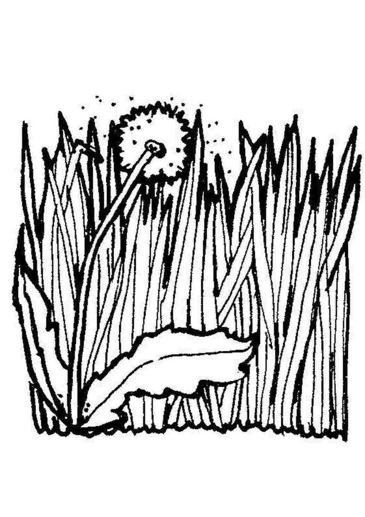 Coloring page lush grass for children