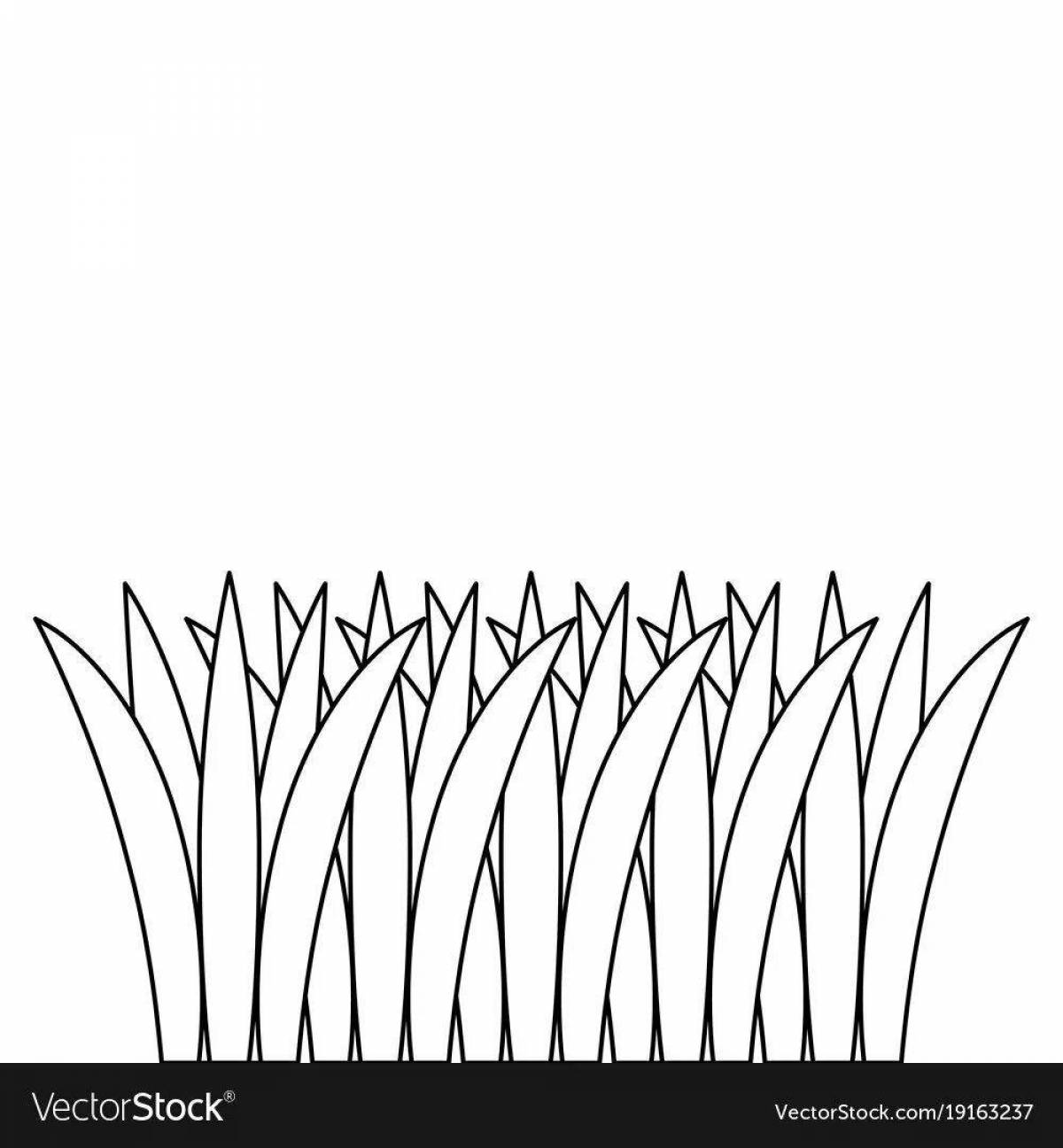 Раскраска трава детские раскраски травы для поделок и раскрашивания