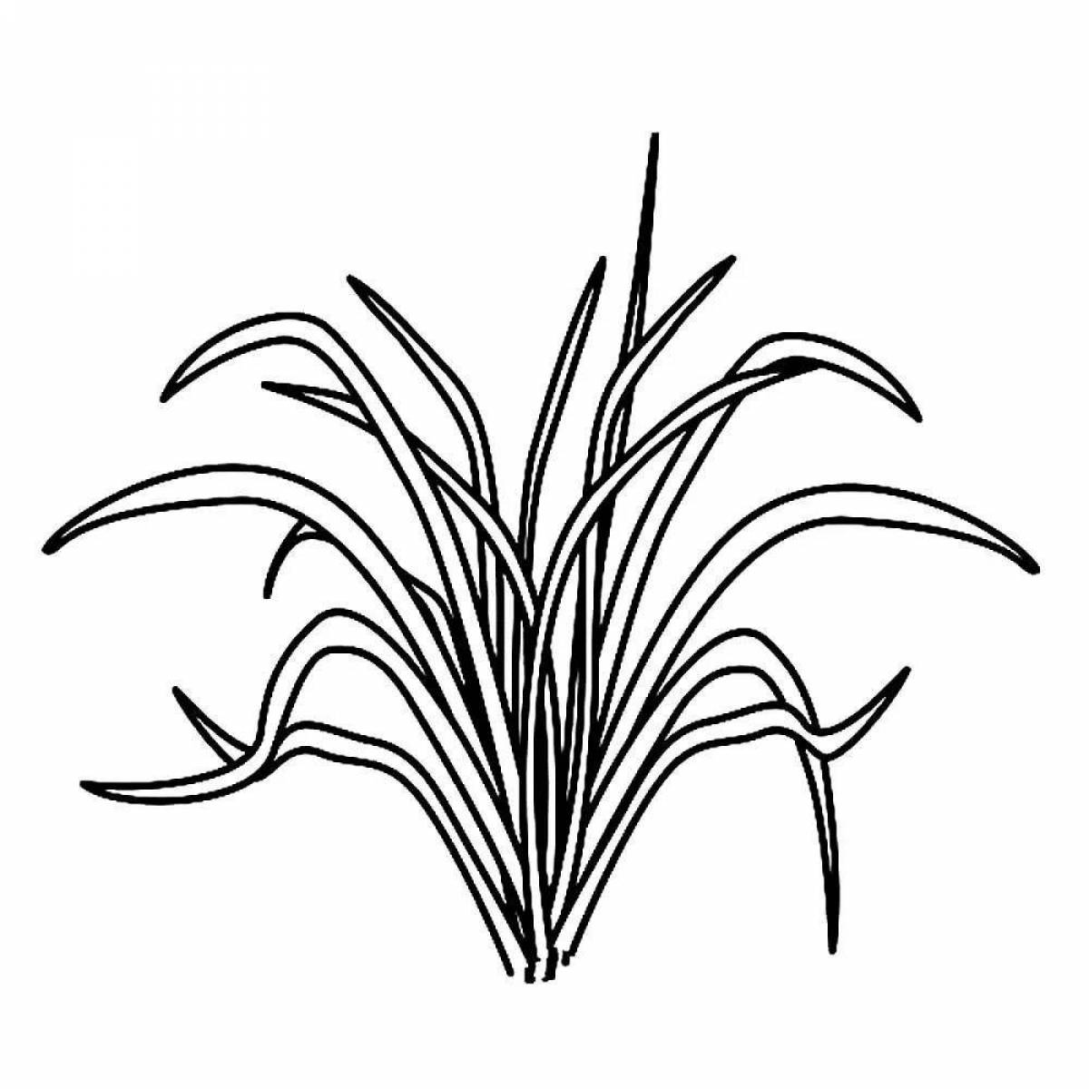 Анимированная страница раскраски травы для детей