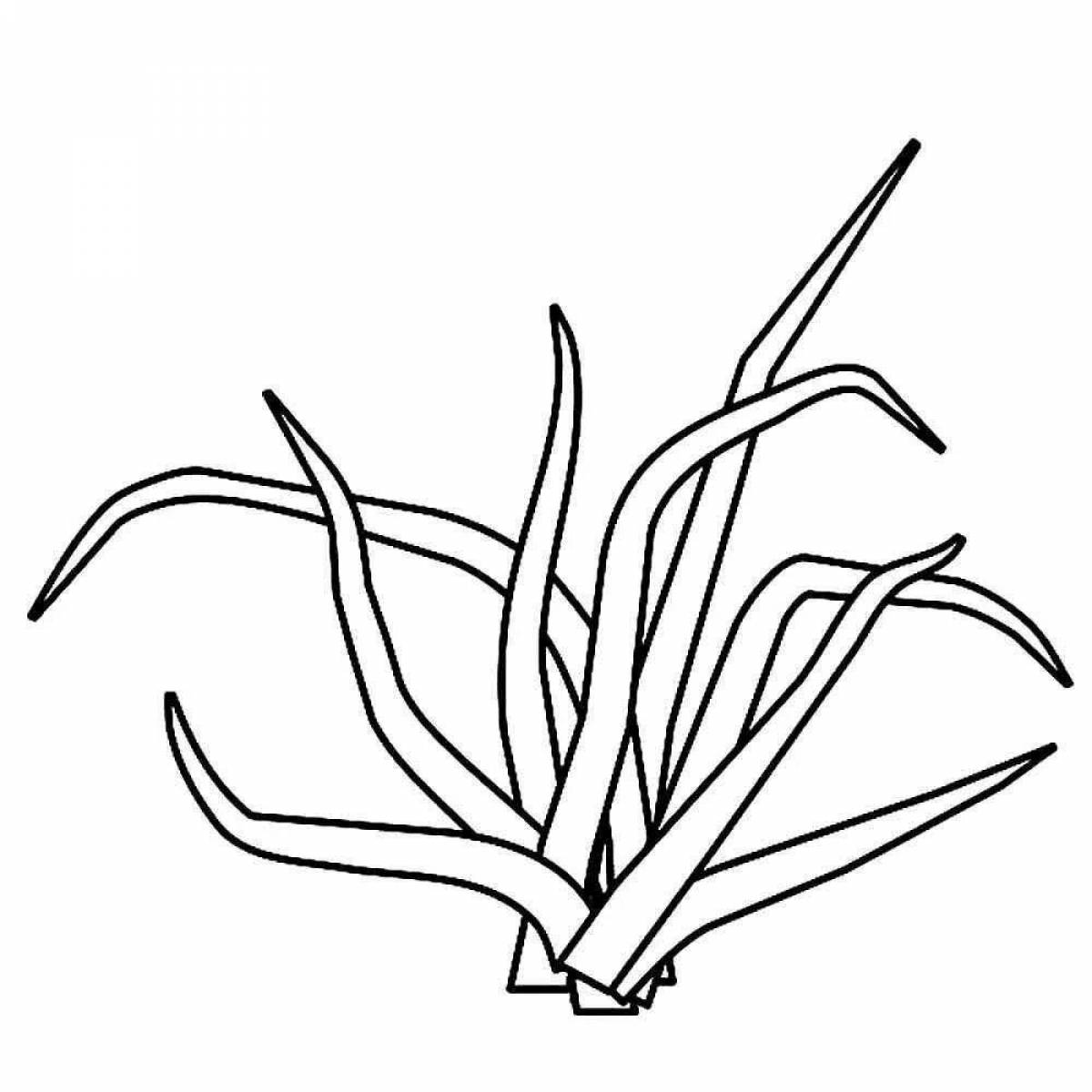 Coloring pages abundant grass for children