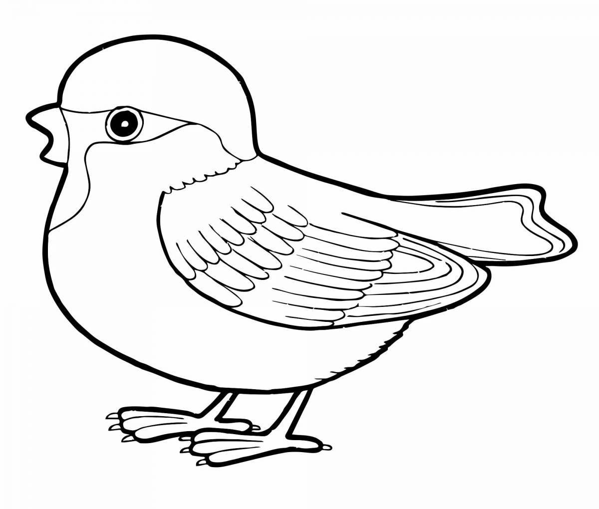 Playful bird coloring book for 2-3 year olds