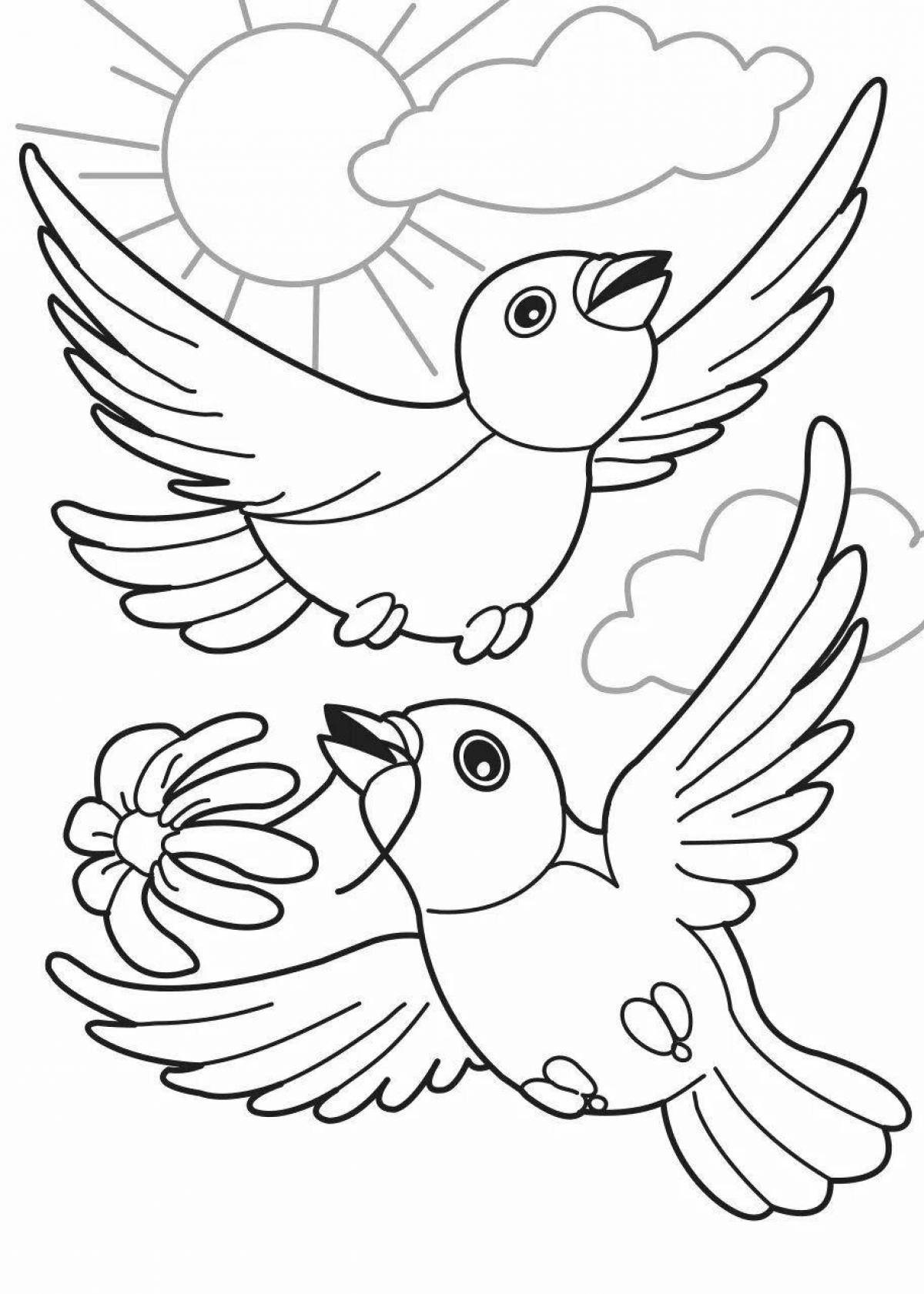 Coloring pages with cute birds for 2-3 year olds