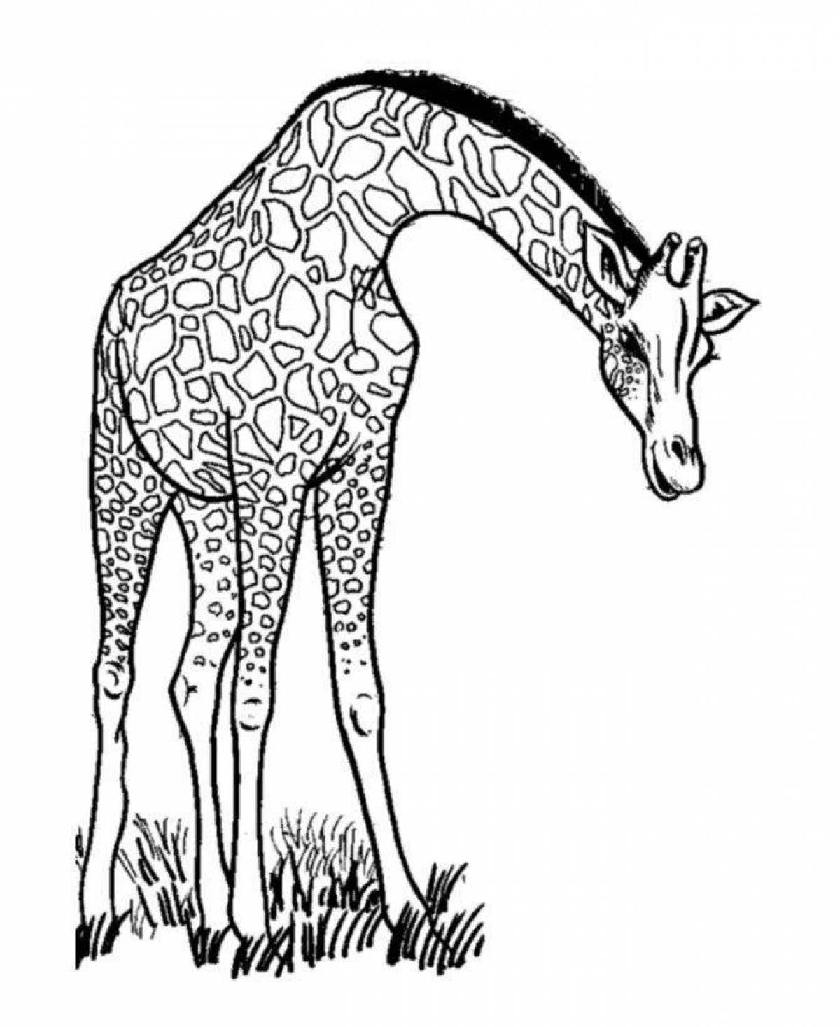Радостный рисунок жирафа
