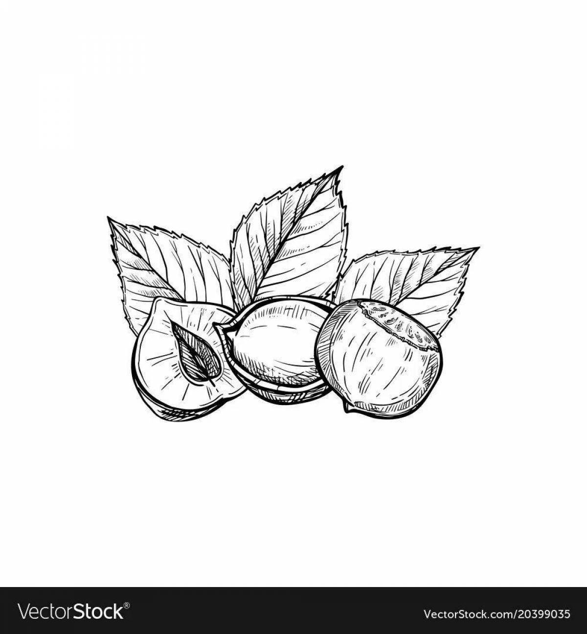 Fabulous nuts coloring pages for kids