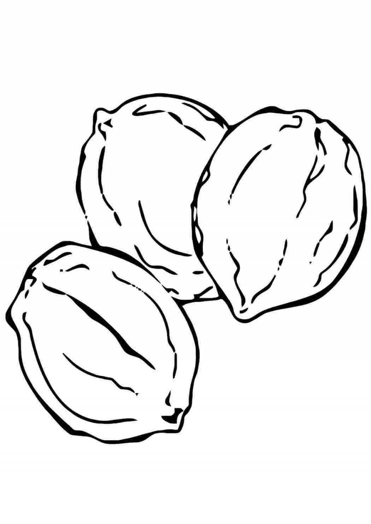 Картинки орехи, карточки Домана «Вундеркинд с пеленок» — орехи скачать бесплатно