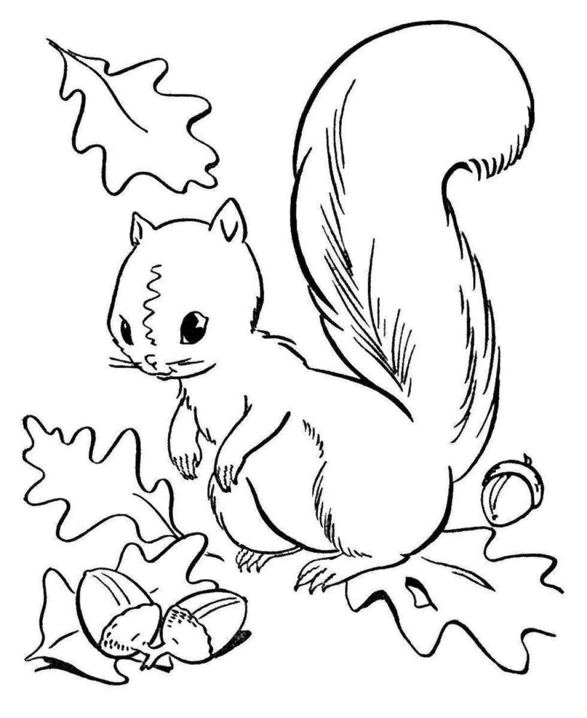 Bright squirrel coloring book for children 4-5 years old