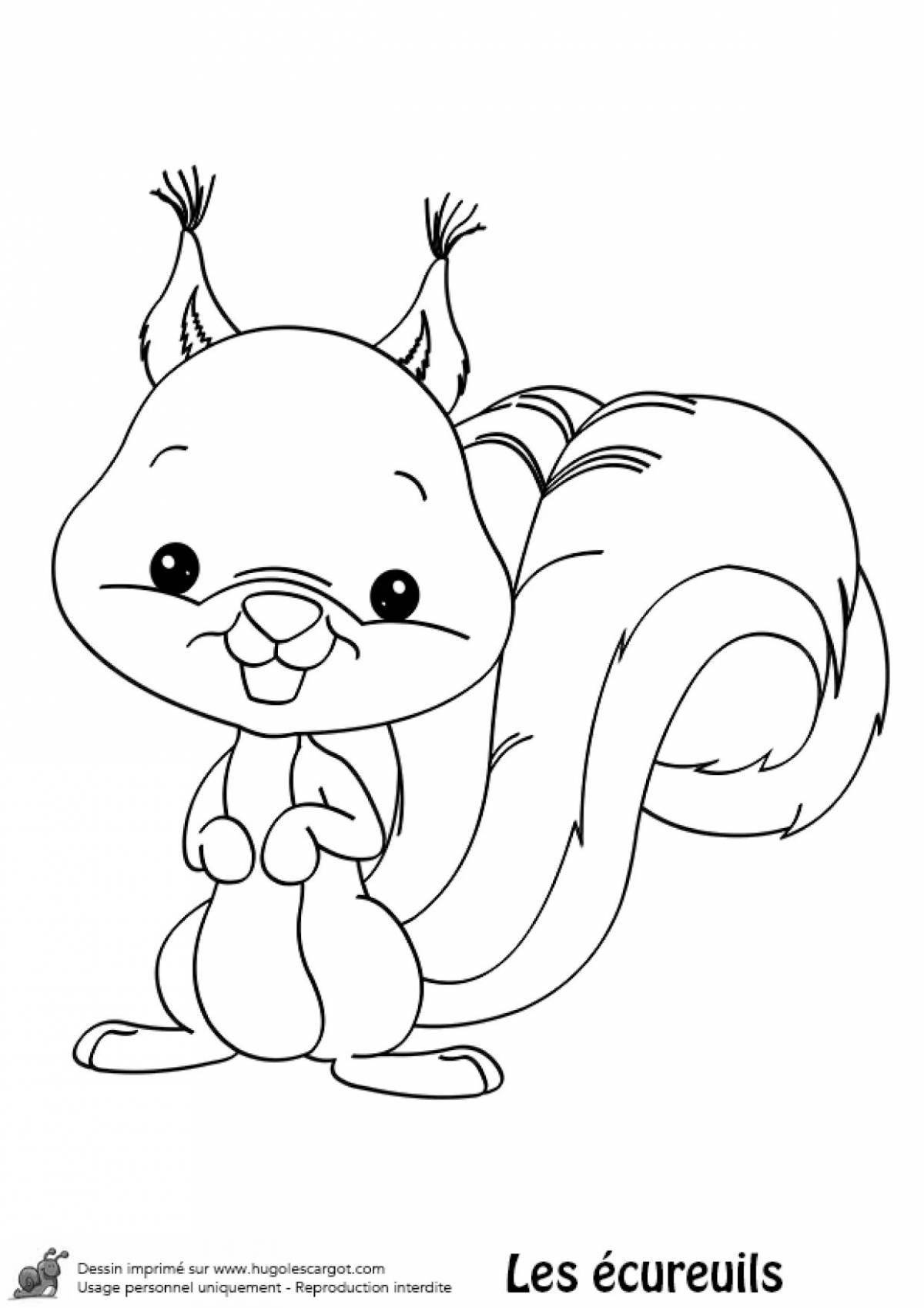 Fun coloring book squirrel for 4-5 year olds