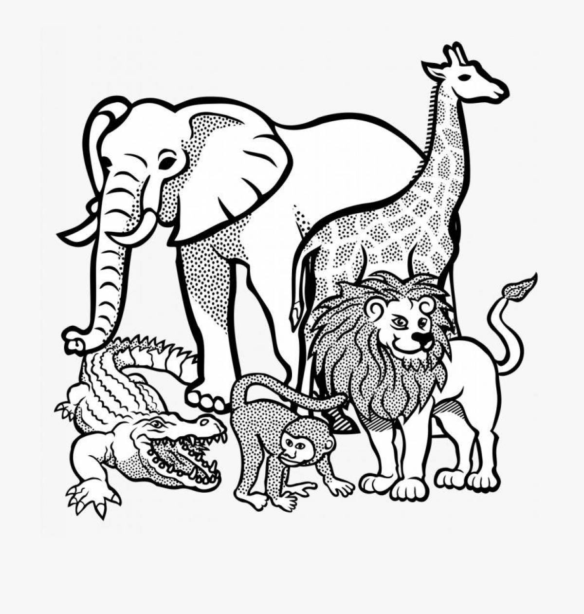 Exotic coloring pages animals of hot countries for children 5 years old
