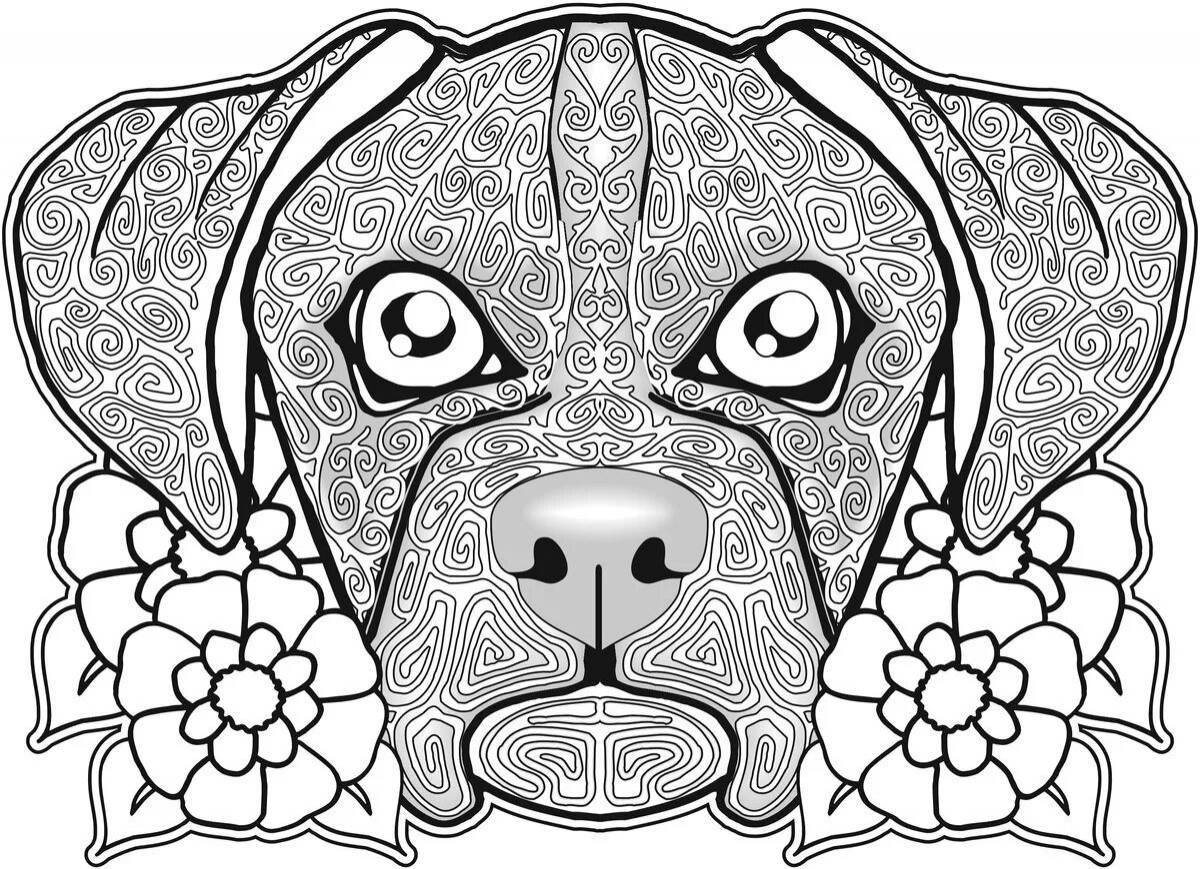 Colorful coloring most popular