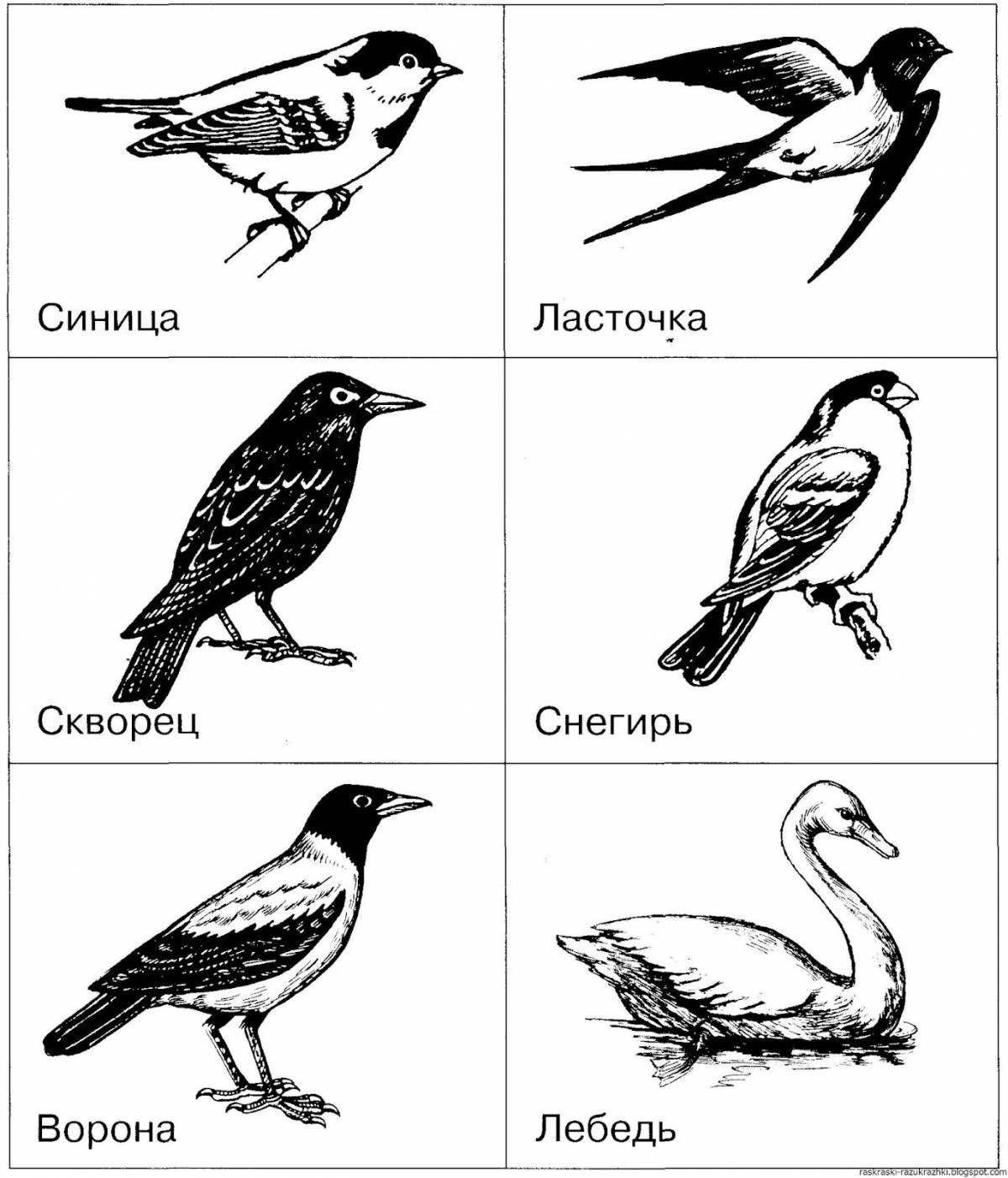 Amazing coloring pages of wintering and migratory birds