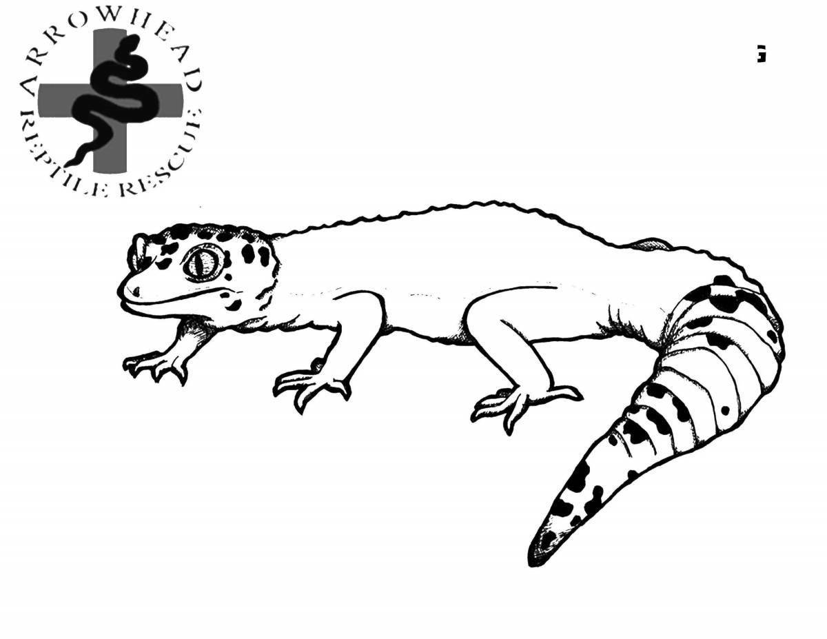 Coloring page graceful monitor lizard