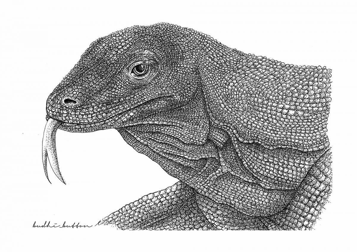 Fun coloring monitor lizard