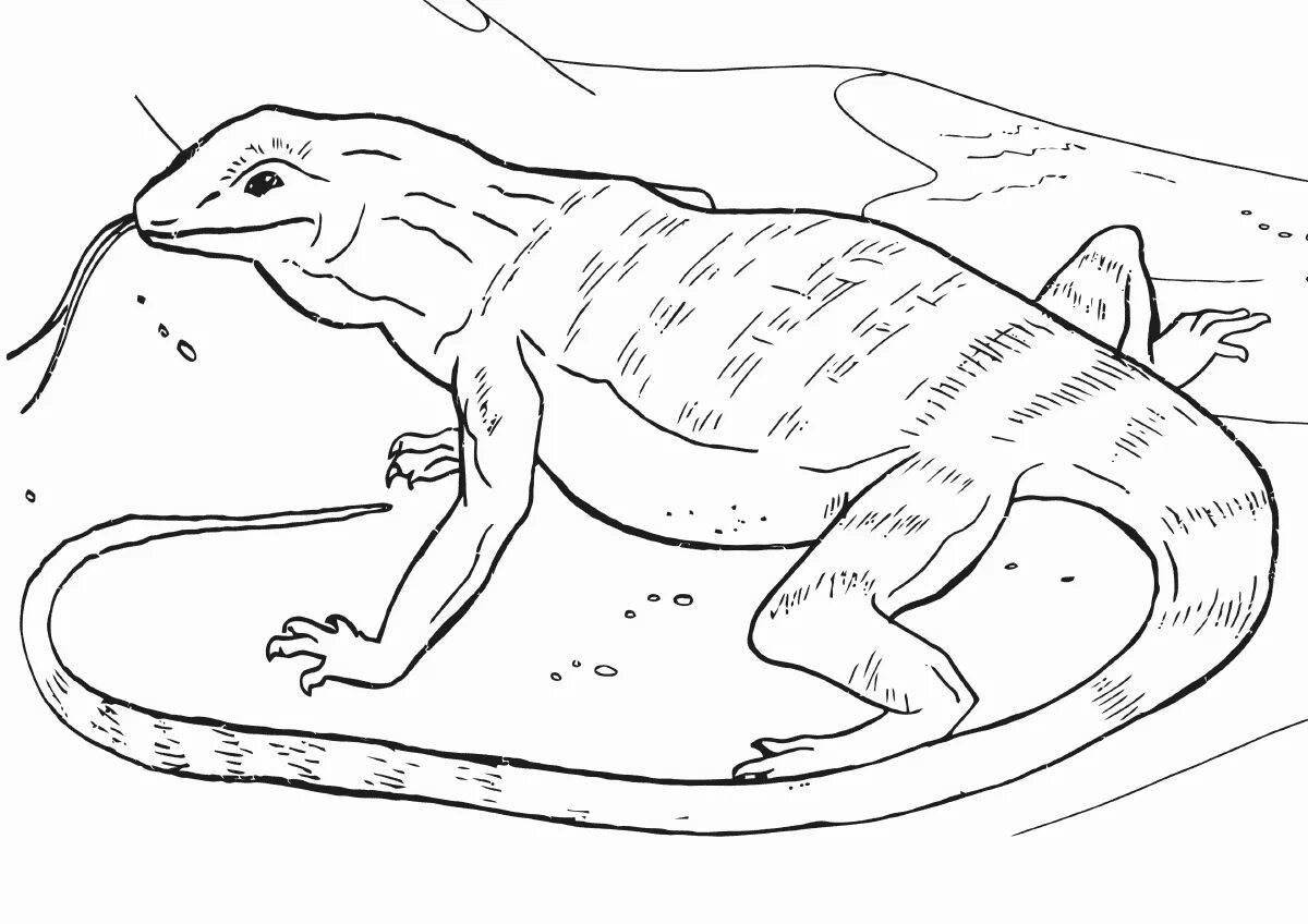 Coloring page stunning monitor lizard