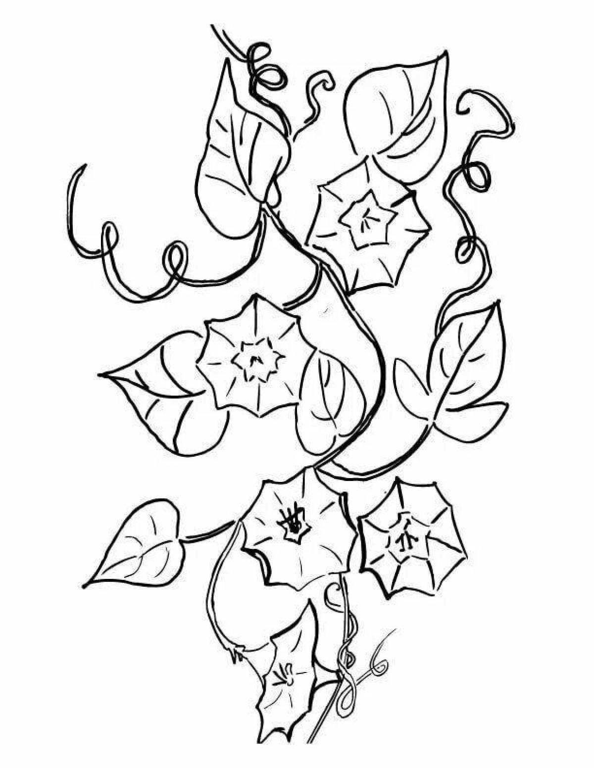 Playful creeper coloring page