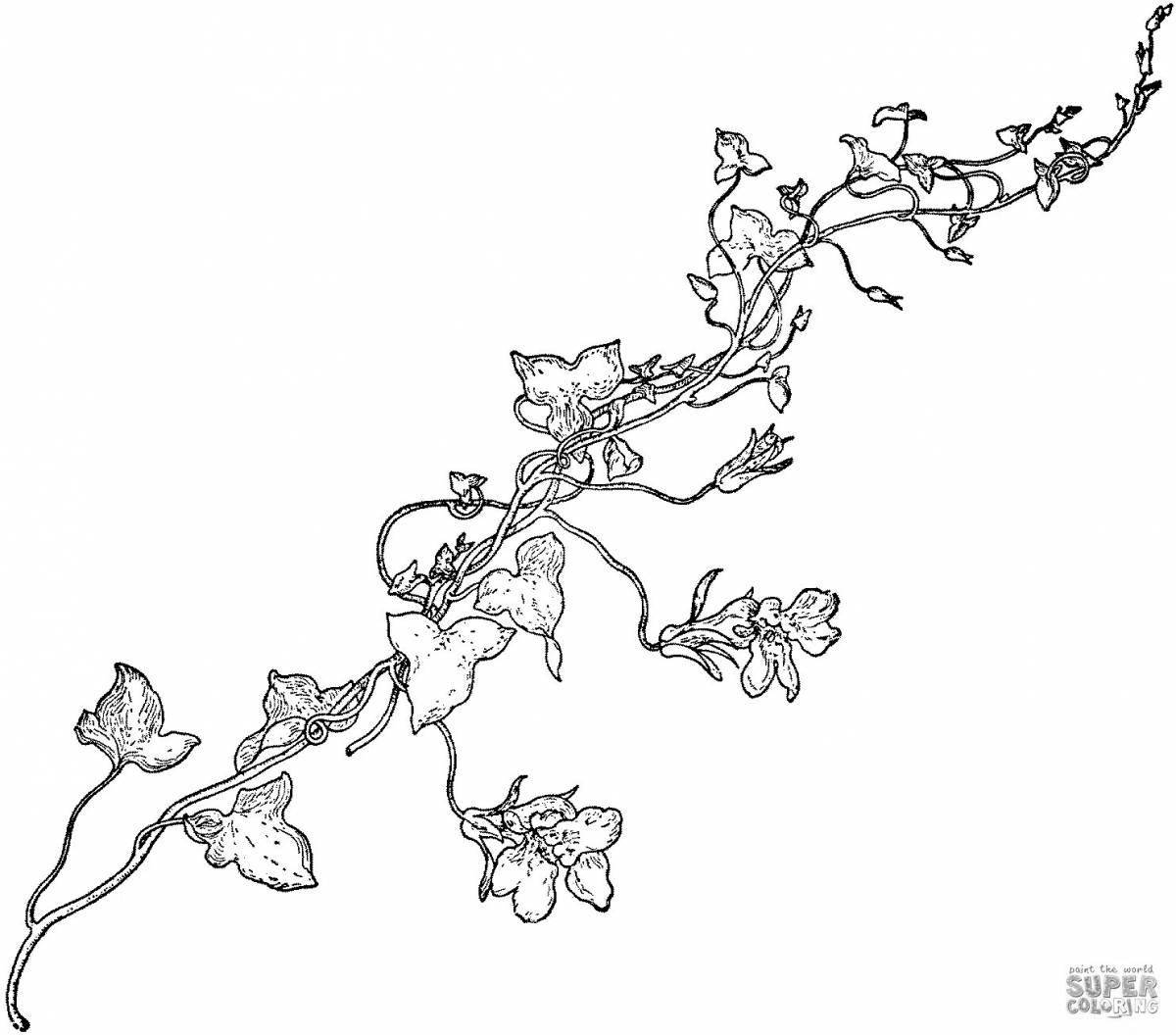 Раскраска Привлекательная страница раскраски creeper