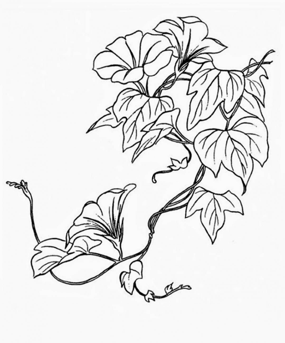 Раскраска Раскраска сладкий крипер