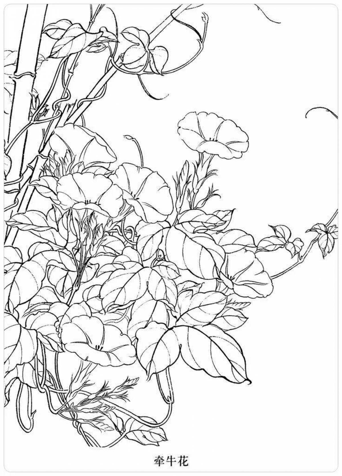 Раскраска Захватывающая раскраска creeper