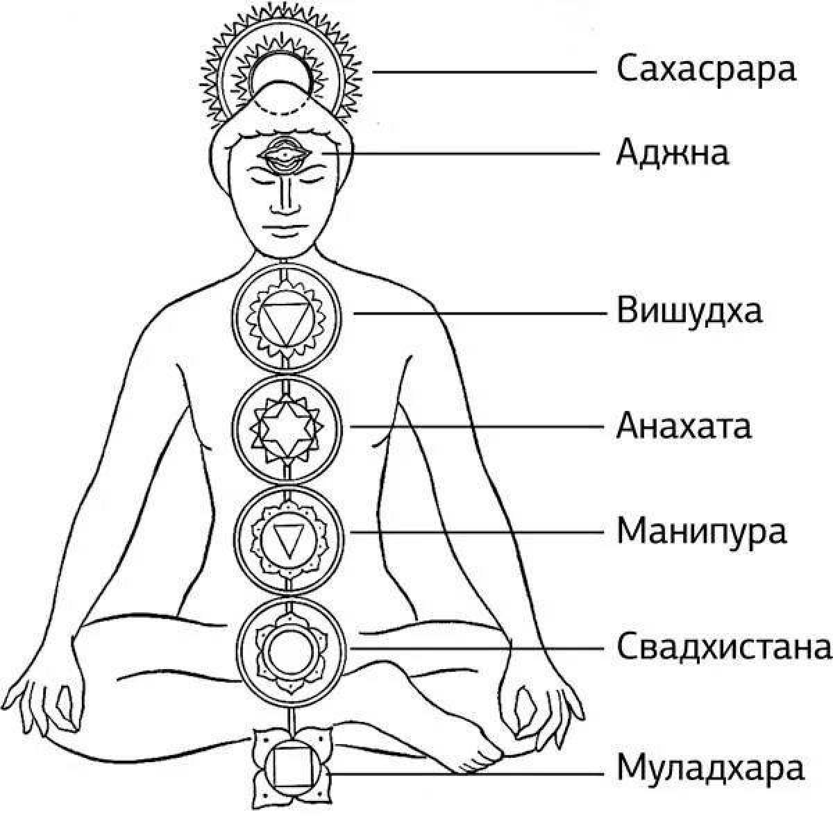 Картинка чакры человека с названиями