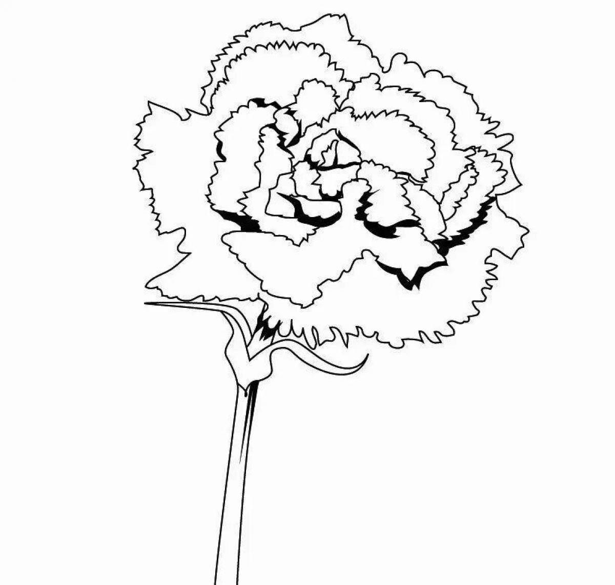 Coloring carnation flowers