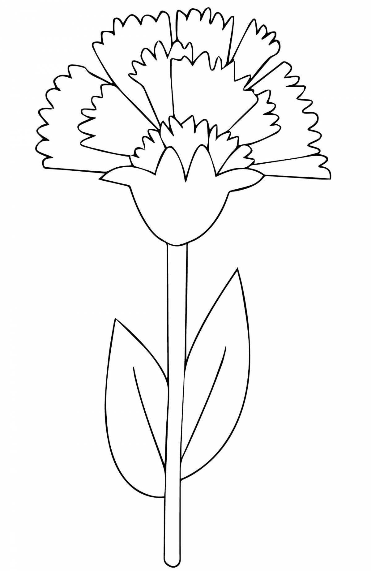 Раскраска Прекрасная раскраска цветы гвоздики