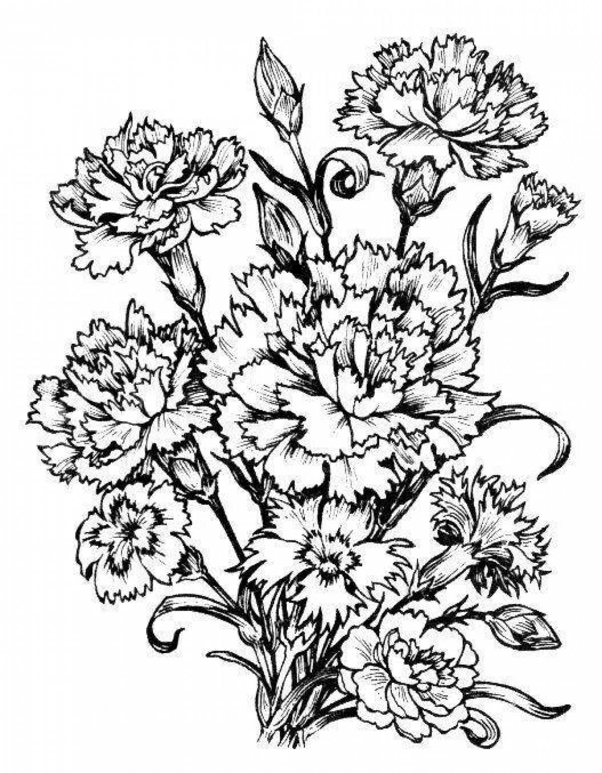 Fine carnation flower coloring