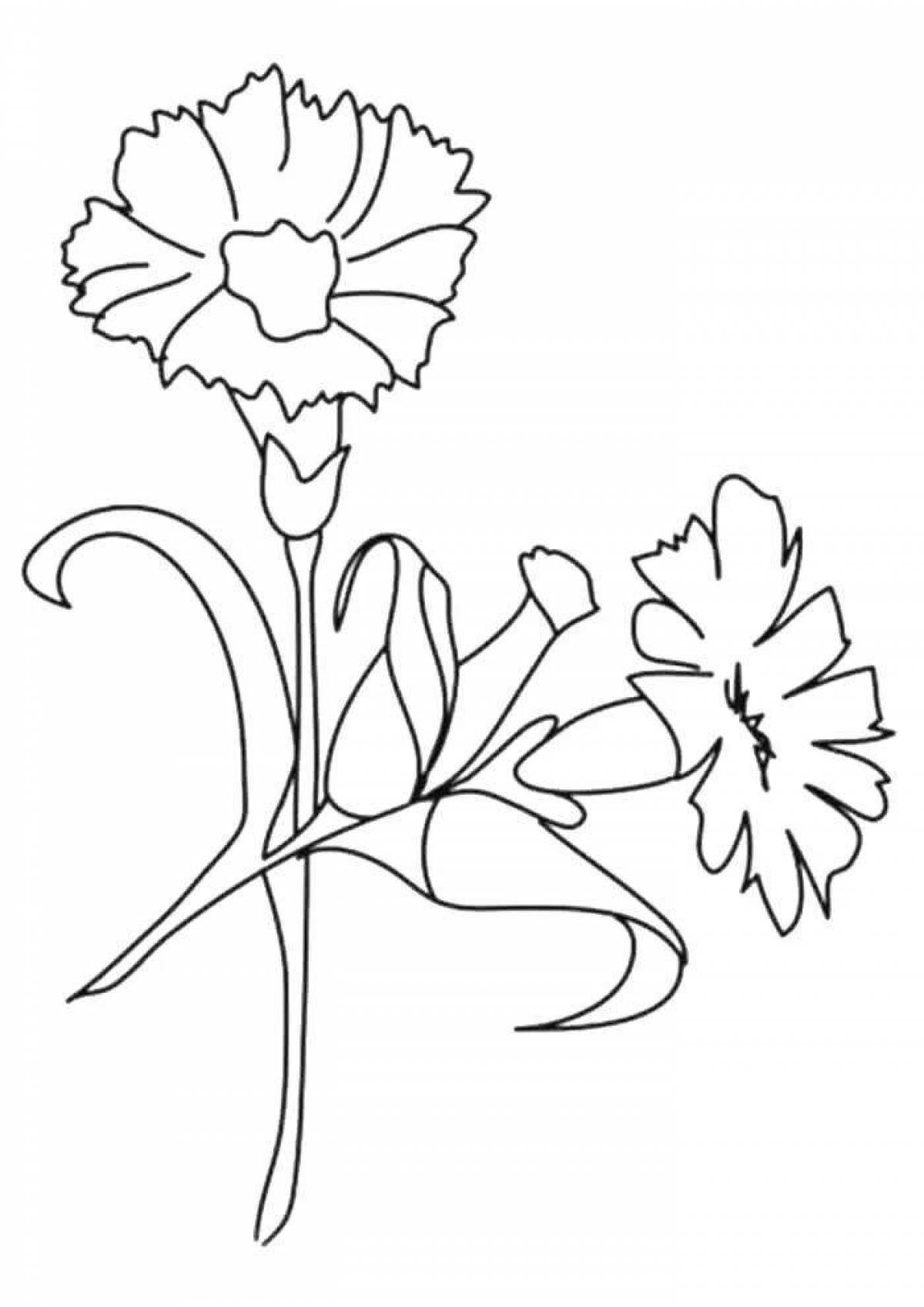 Playful coloring of carnation flowers