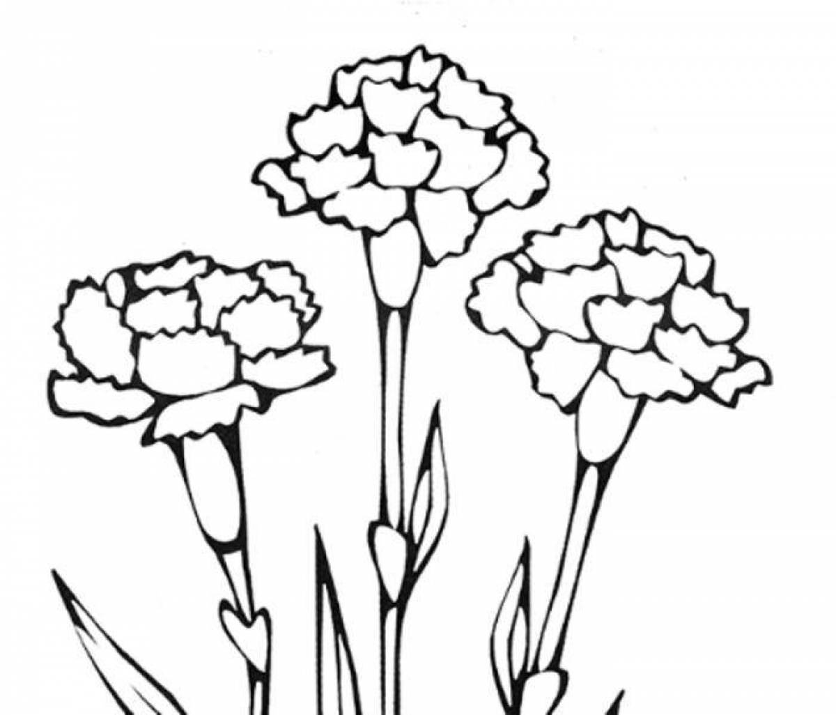 Fancy carnation flowers coloring book