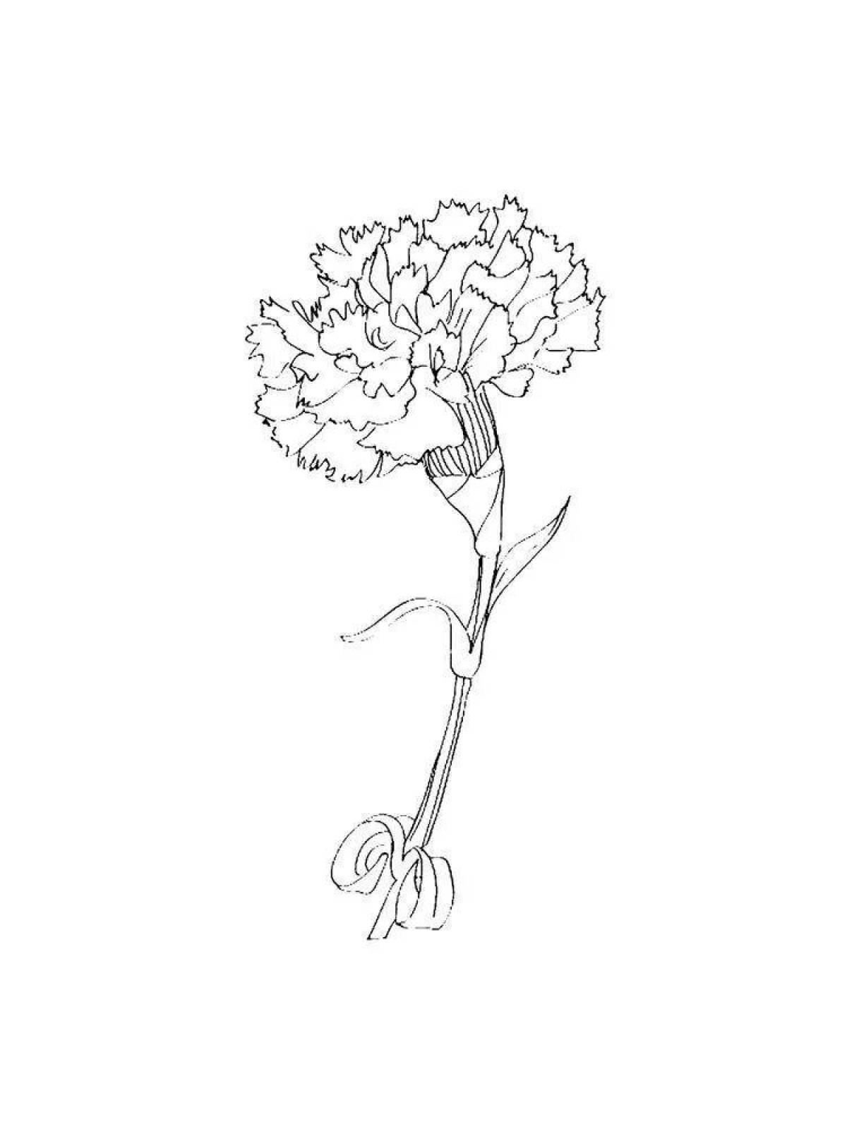 Раскраска Веселая раскраска цветы гвоздики