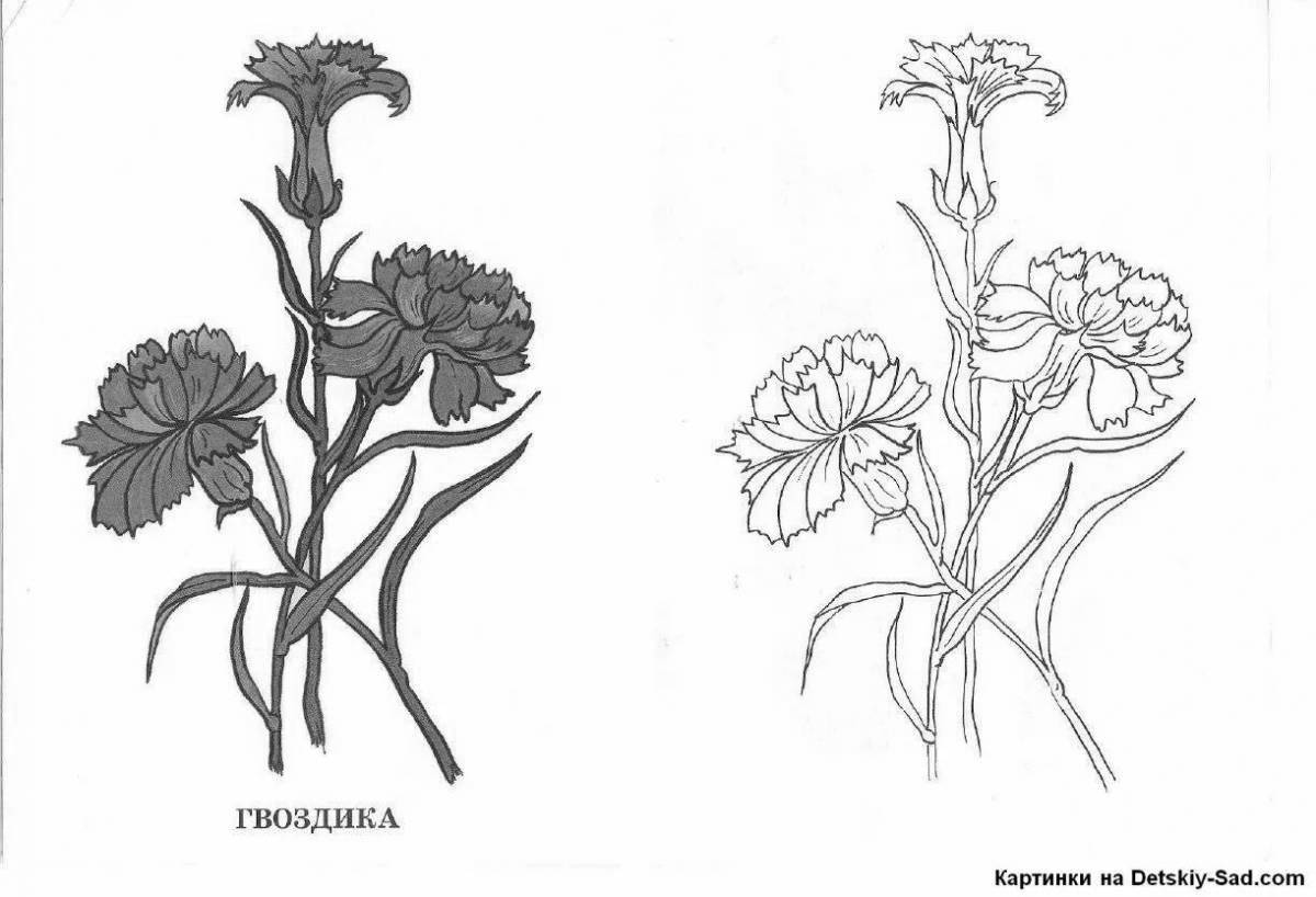 Luminous carnation flowers coloring pages