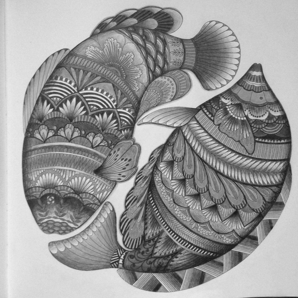 Exquisite coloring of milli marotta