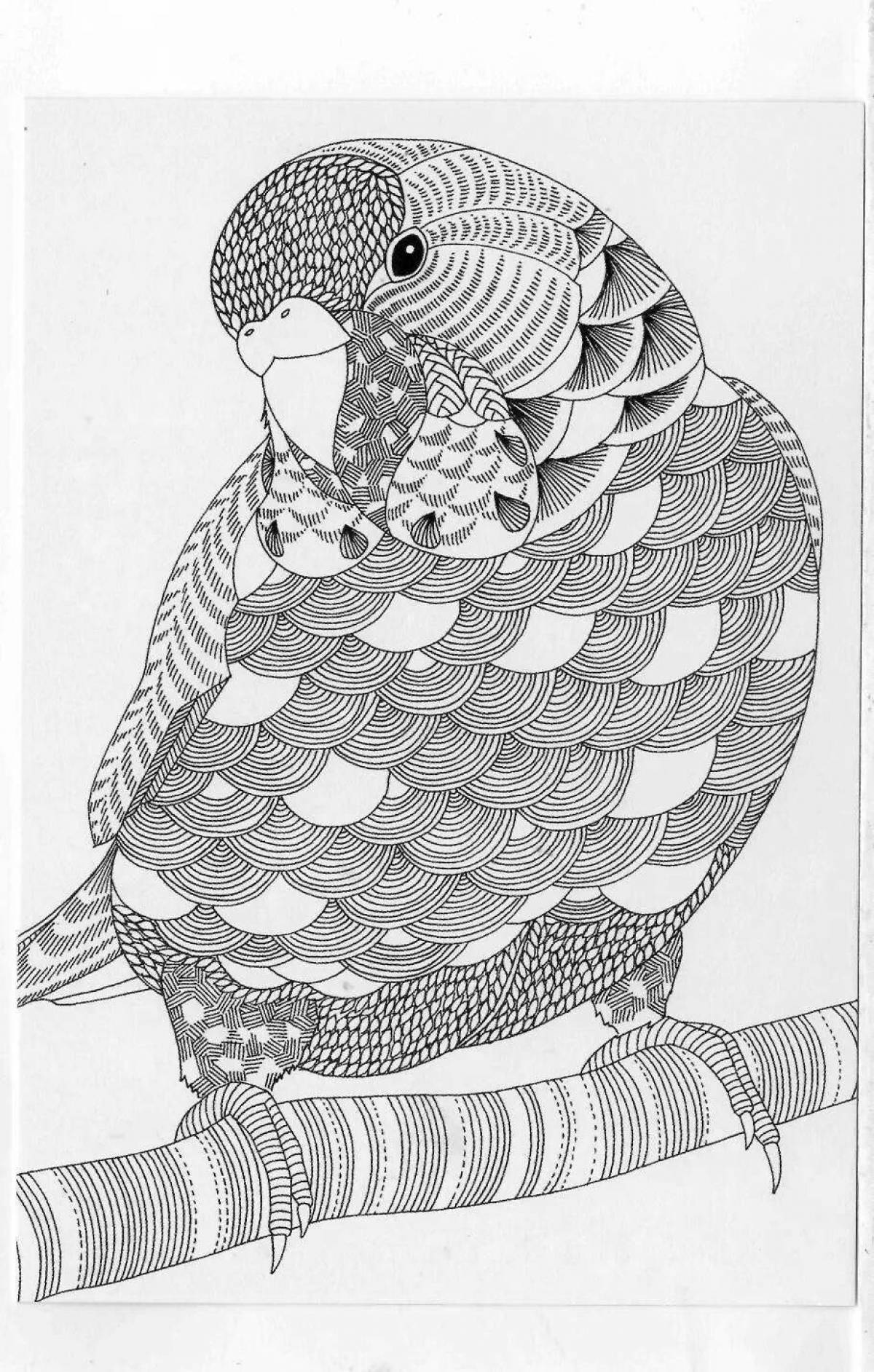 Elegant milli marotta coloring book