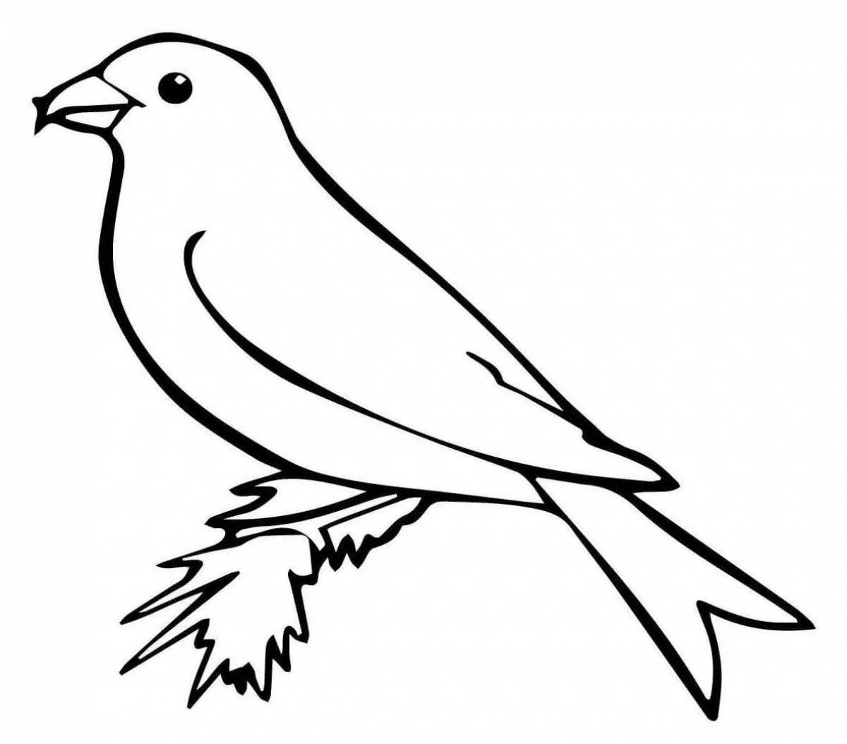 Торғай для детей #1