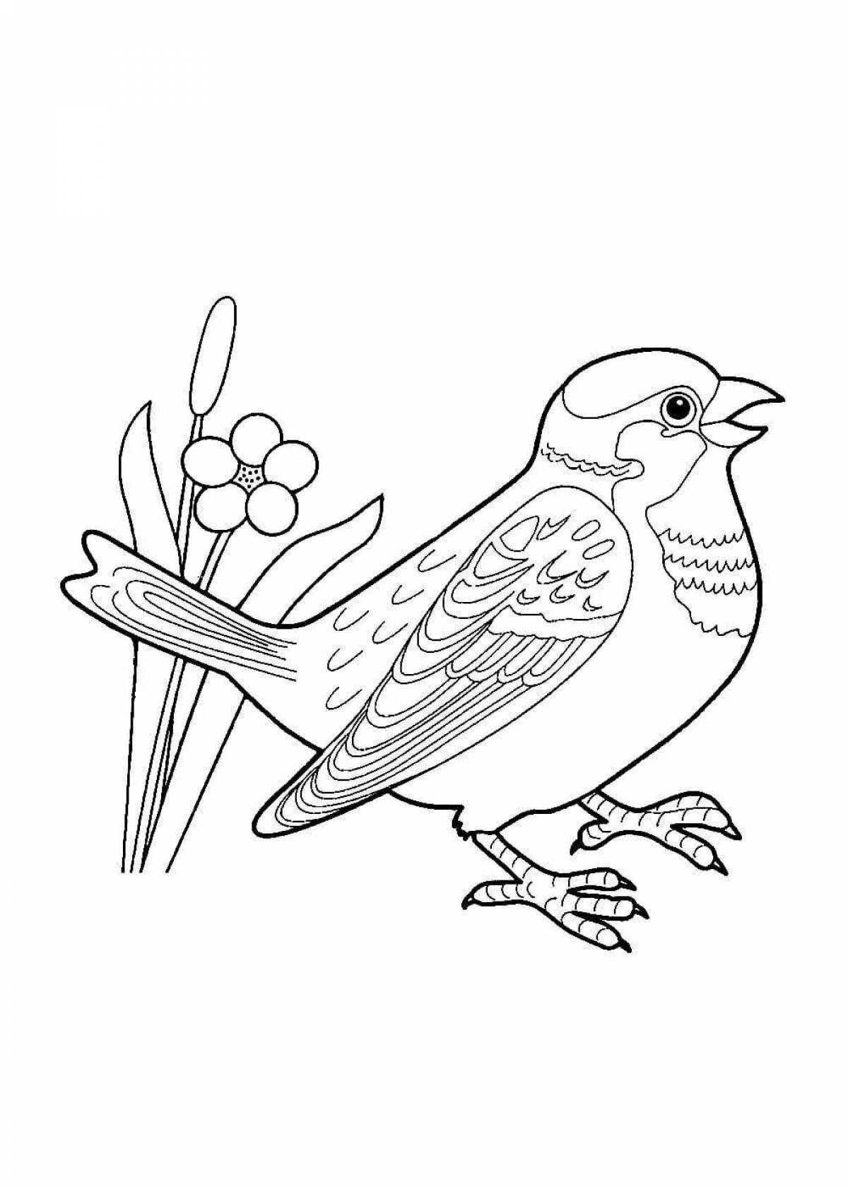 Торғай для детей #8