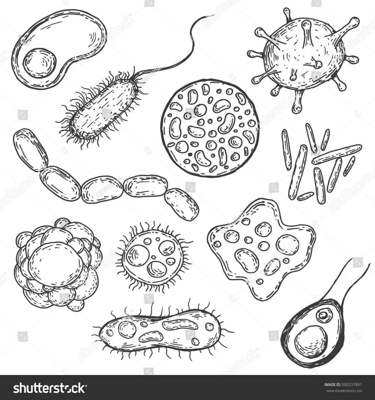 Creative bacteria coloring pages