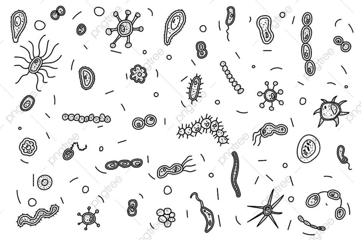 Причудливые бактерии раскраски
