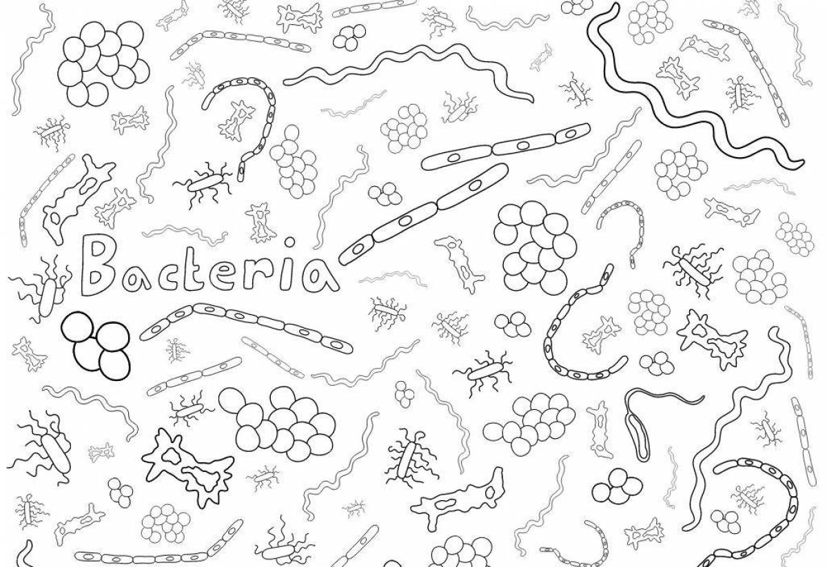 Бактерии #2